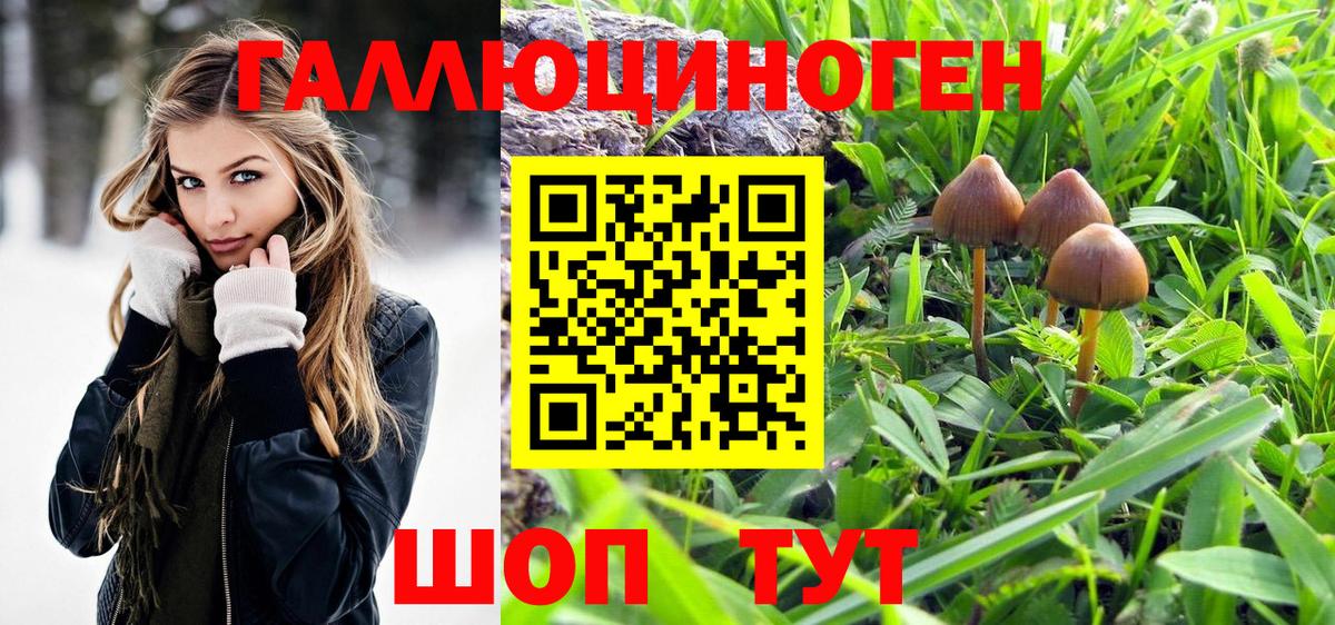 Галлюциногенные грибы мицелий Верхняя Пышма