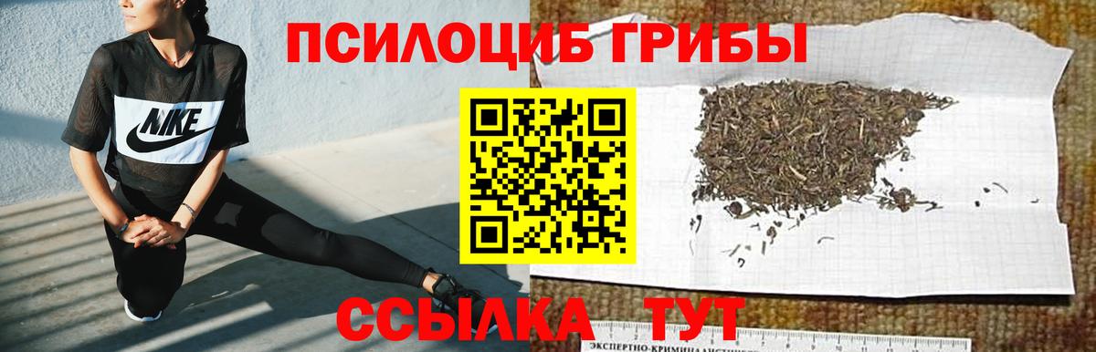 Верхняя Пышма  Псилоцибиновые грибы мицелий  Вход с VPN 